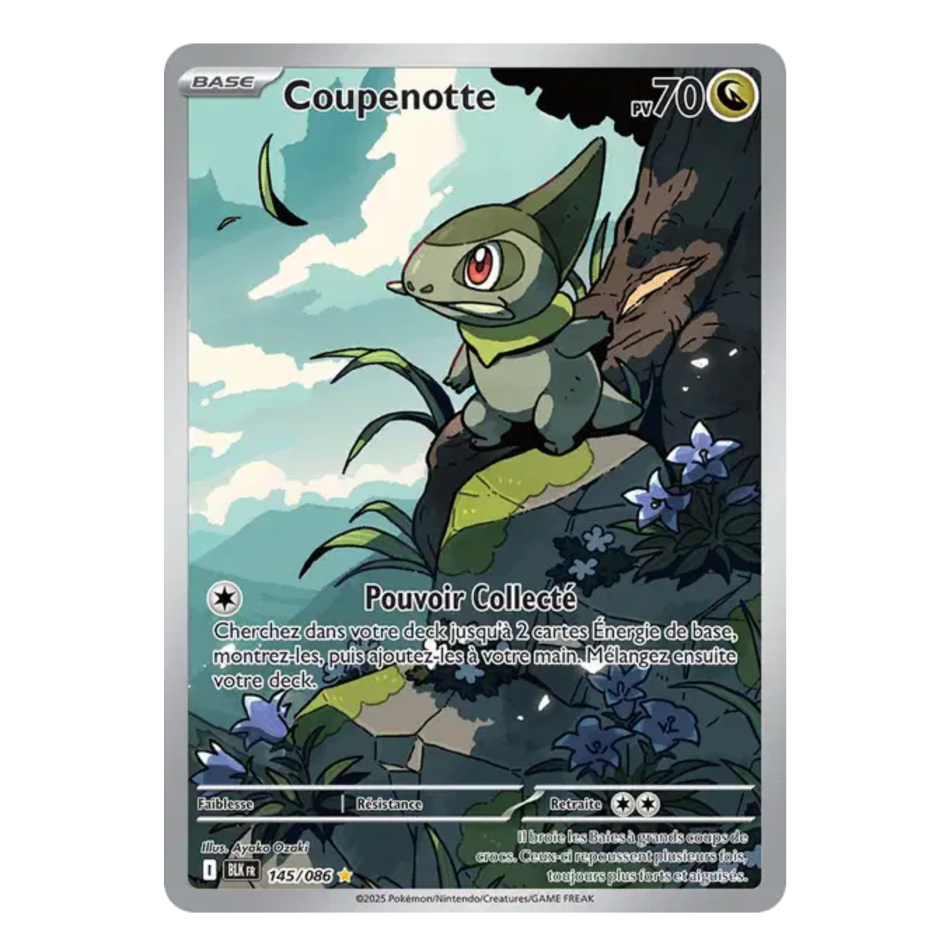 Coupenotte - 145/086 - Foudre Noire - (EV10.5) - Français